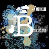 Nymphes by Molecule