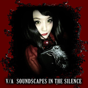 Soundscapes in the Silence