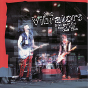 The Vibrators: Live Near The Seedy Mill Golf Club