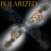 Polarized