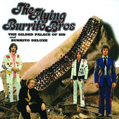 The Flying Burrito Brothers: The Guilded Palace Of Sin & Burritos