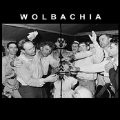 Laying Of Hands Demo 2010