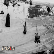 Disìu