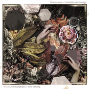 Undisciplined strips of emotions (MR-027)