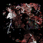 She is Pleasure, She is Death