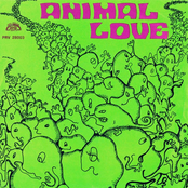 Animal Love