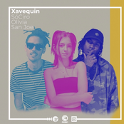 Xavequin