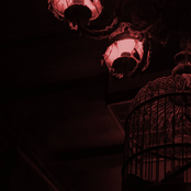 Wellness at one-eyed Jacks (extended)