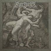 The Cassandra Complex - Single