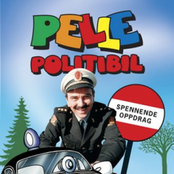 pelle politibil