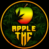 apple thc