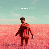 Bekar: Briques rouges