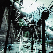 mom: 37 missed calls.