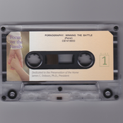 Pornography: Winning The Battle