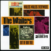 Just A Little Bit Louder by The Wailers