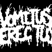 vomitus erectus