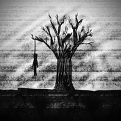 a long and lonely life filled with emptiness