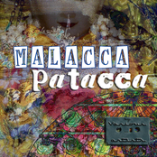 Malacca Patacca