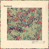 Sumbuck: Sugarmuffin / 1985