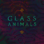 Exxus by Glass Animals