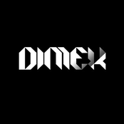 dimex