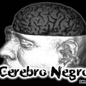 Cerebro Negro