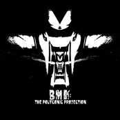 The Polyconic Projection