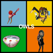 What Whorse You Wrote Id On by Owls