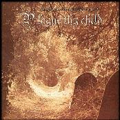 Have You Ever Been Raped By An Angel?