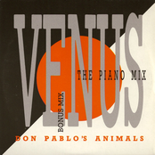 Paranoia by Don Pablo's Animals