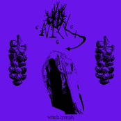 Witch Lymph