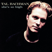 Tal Bachman: She's So High