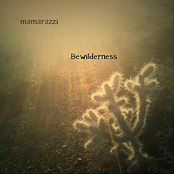 Mamarazzi: Bewilderness