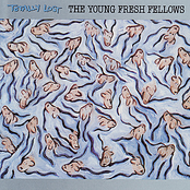 Take My Brain Away by The Young Fresh Fellows
