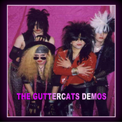 Guttercats