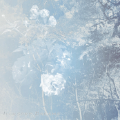 Illusory Dreams