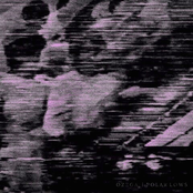 Ozzga / Polar Lows Split