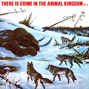 There Is Crime In The Animal Kingdom Part 2