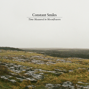 Time Measured in Moonflowers