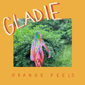 Orange Peels / thank you card.