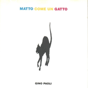 matto come un gatto