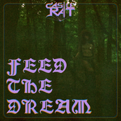 Castle Rat: Feed The Dream