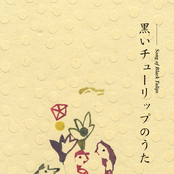 Song of Black Tulips