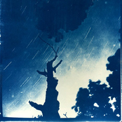 Dragon Turtle / Goodnight Stars Goodnight Air Split 12"
