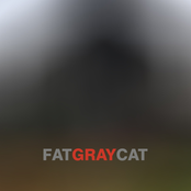 Fat Gray Cat: Fat Gray Cat