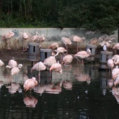 The Last Minutes B.C.