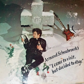 I Came to Visit, But Decided to Stay