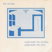 Underneath The Window, Underneath The Sink by The Orchids