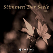 Stimmen Der Seele vol.5