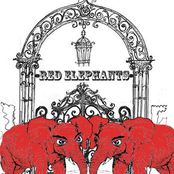 red elephants